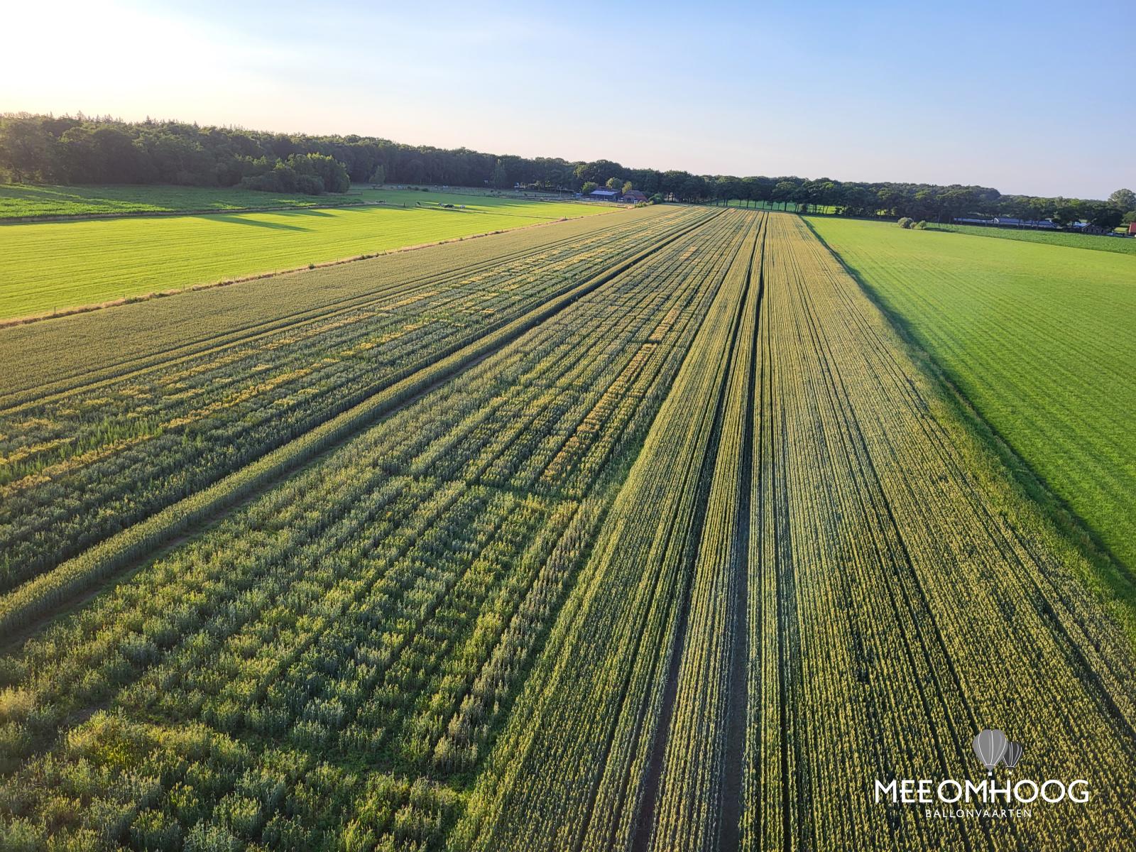 28 Jun - Privé ballonvaart - #3